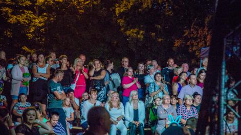 Publiczność ogląda koncert